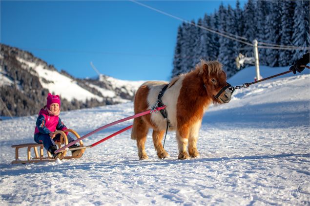 Poney Luge à Notre Dame de Bellecombe - Office de Tourisme du Val d'Arly