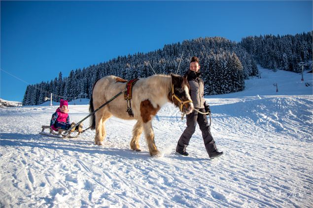 Poney Luge à Notre Dame de Bellecombe - Office de Tourisme du Val d'Arly