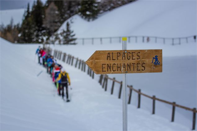 Sur la route des alpages - A.Abondance