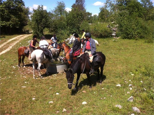 Ranch des Balmettes - FB Balmettes