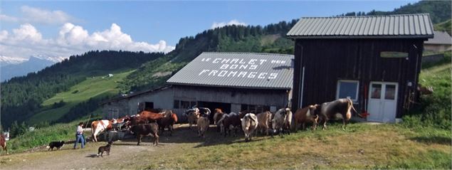 Goûter à la ferme - Auberge du Lys Blanc