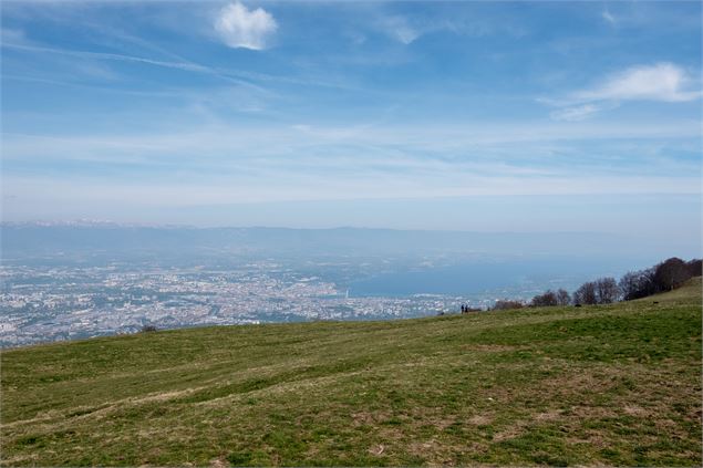 Panorama sur le lac Léman - Alexis BROCHOT - CD74