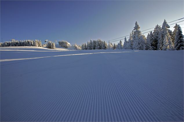 Piste dammée - Monica Dalmasso