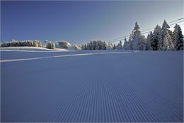 Piste dammée - Monica Dalmasso