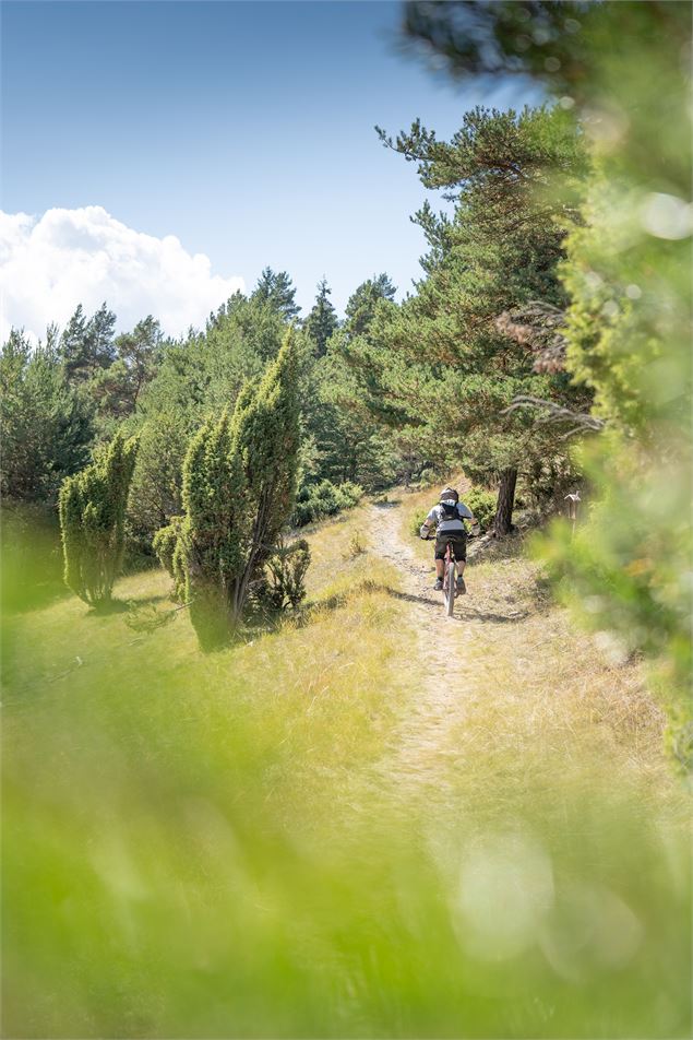 Vttiste sur le parcours  entre foret et prés - OTHMV - J. Cathala