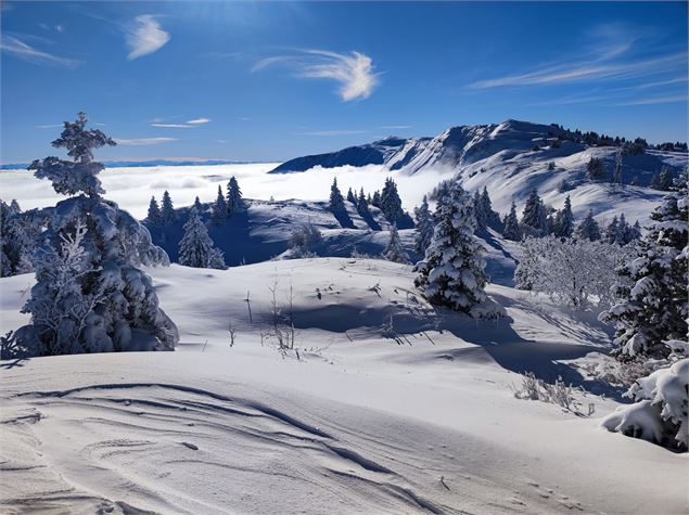 Au sommet du Petit Mont Rond - ©AMbarbe