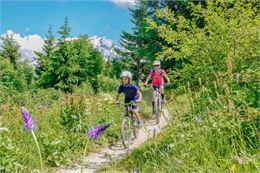 Parcours VTT n°1 _ Les balcons du Mont-Blanc - VERT