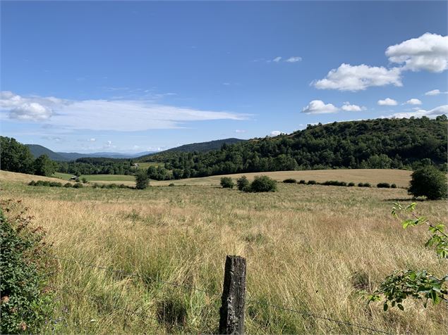 Vue panoramique - Maxime Michel