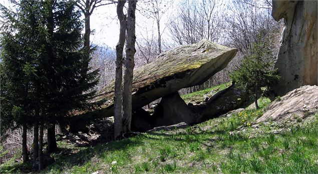 Le Domaine du Thyl et le Bois Dessus - Alexandre Gros