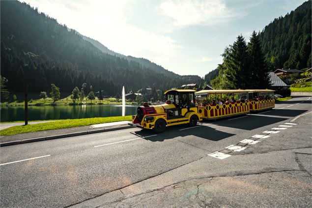 Petit train à Châtel - L.Meyer-Châtel