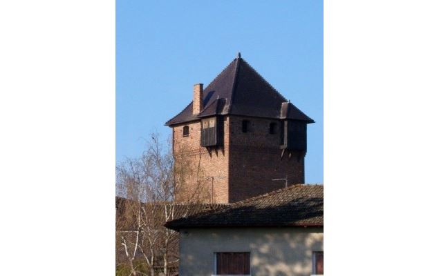 Tour - Les amis du patrimoine d'Ambérieux en Dombes