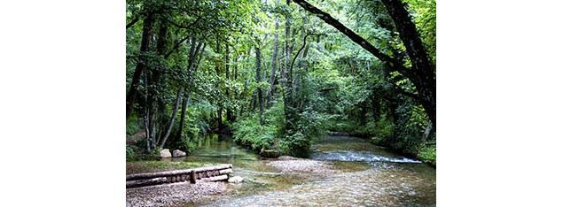 Randonnée pédestre : Marais des Bidonnes et Canal de Crans