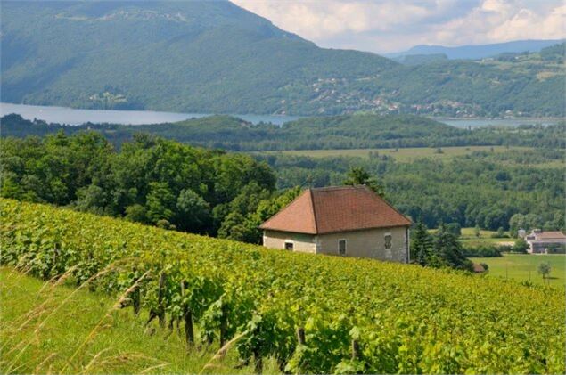 La balade vigneronne à pied du Caveau de Chautagne