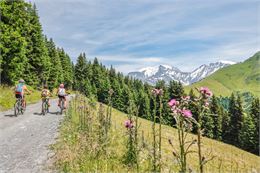 Parcours VTT n°2 _ L'échappée Saint-Nicolataine - ROUGE