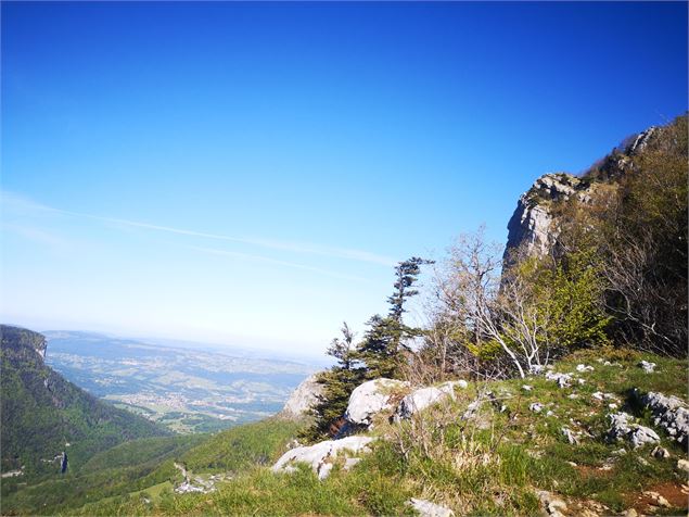 En montant à Roche Veyrand - OT Coeur de Chartreuse