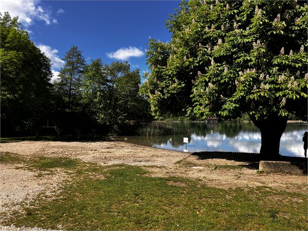 Plage Aiguebelette-le-Lac - Kahotep