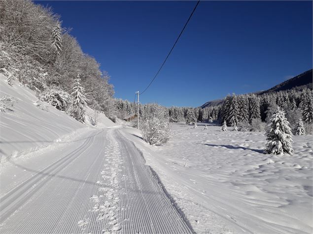 Du retour du Niaizet - ©OTpaysdegex