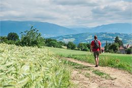 Les collines de l'Albanais : boucle n°1 - Gilles Lansard