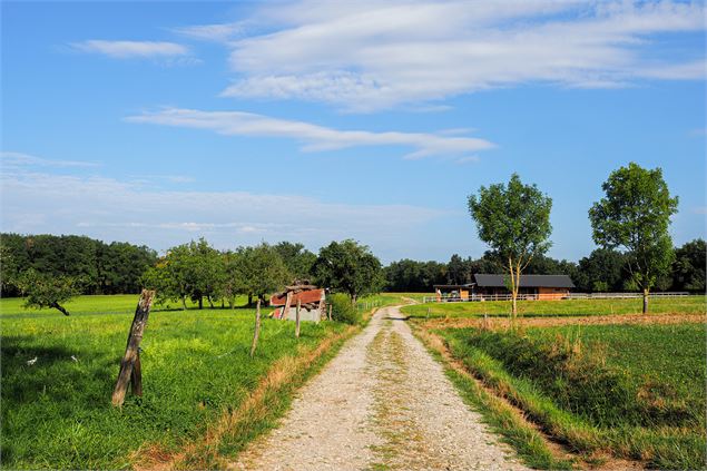 Chemin - Emeline Jonnon