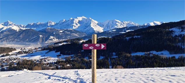 Vue Mont-Blanc sur la boucle du Dandry - © Cordon Tourisme