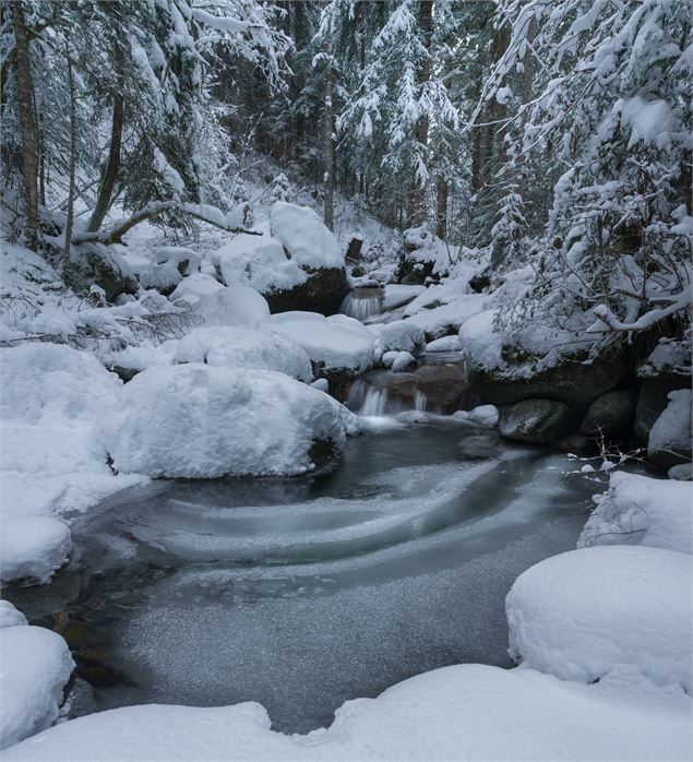 Rivière du Pont des Nants l'hiver - © Jean-Marc BAREY