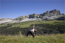 Parcours de yoga en été - Monica Dalmasso