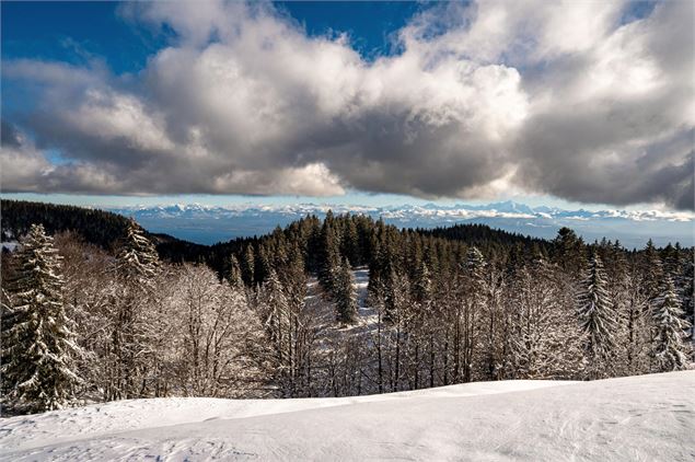 La vue panoramique - ©Hervé COMBEAUX