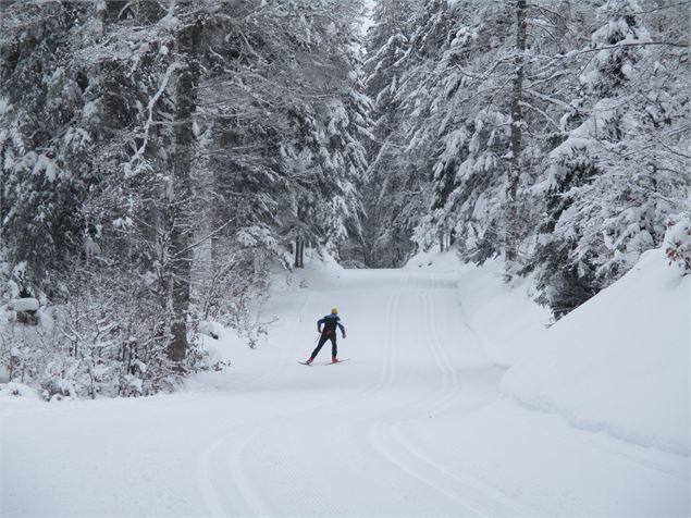 skieur - ©AMbarbe