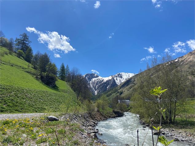 Balade à Valloire des Verneys à la Rivine - Alice Niquet / Valloire Tourisme