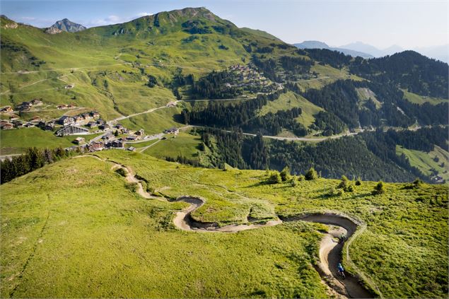 Piste DH n°3 - rouge - Crosets - Litescape media