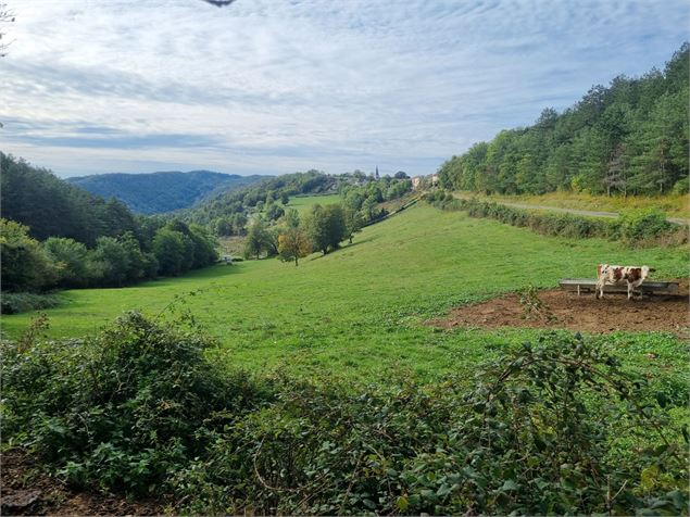 Plateau d'Arnans - scalland