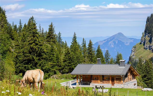 Les chalets d'Aujon avec le Môle en toile de fond - OT Flaine-Candice Genard