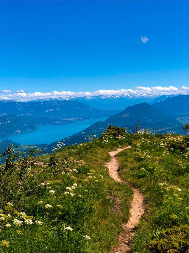 Sentier sur la Roche de Chanduraz surplombant le lac du Bourget - Maxime Ballet