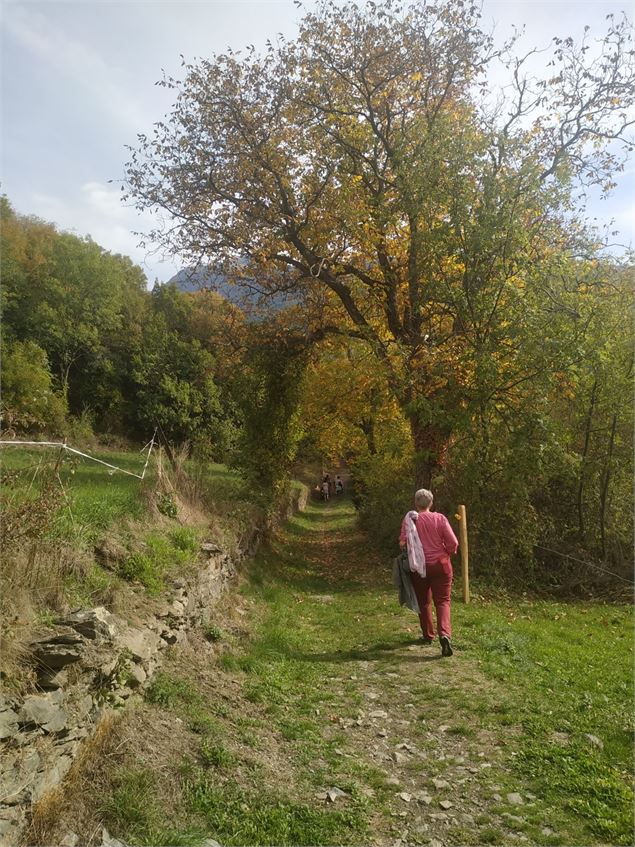 Chemin de Sainte-Anne - Communauté de communes Maurienne Galibier