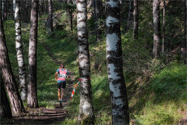 Trail à La Norma dans la forêt - HMVT -G. LAVILA