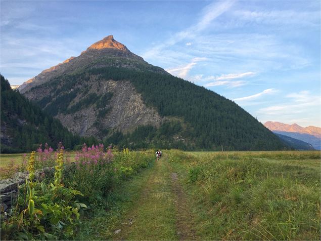 Coureurs en direction de la vallée du Ribon avec le soleil couchant sur la pointe de Soliet - OTHMV 