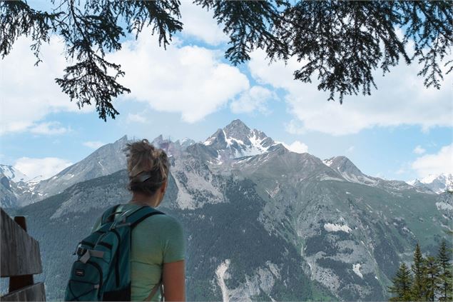 Vue sur la parrachée depuis le sentier du Périmètre avec traileuse en premier plan - OTHMV - G. Lavi