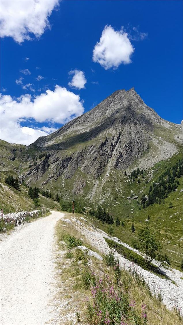 Vue depuis le sentier découverte de l'Orgère sur l'aiguille Doran - OTHMV - I. Yemmou