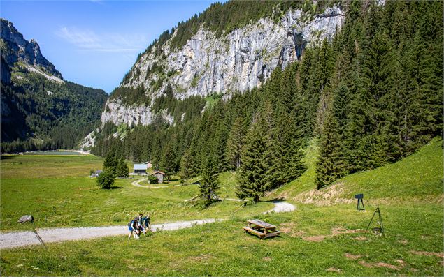 Vue sur l'espace pique-nique avec barbecue depuis le chemin de randonnée - OT Flaine-Candice Genard