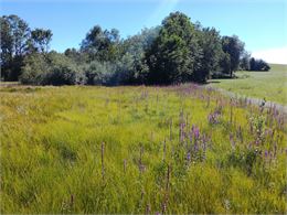 Le plateau des Bornes