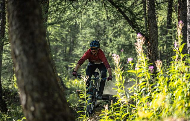 VTT bike Park - Tony Galleano