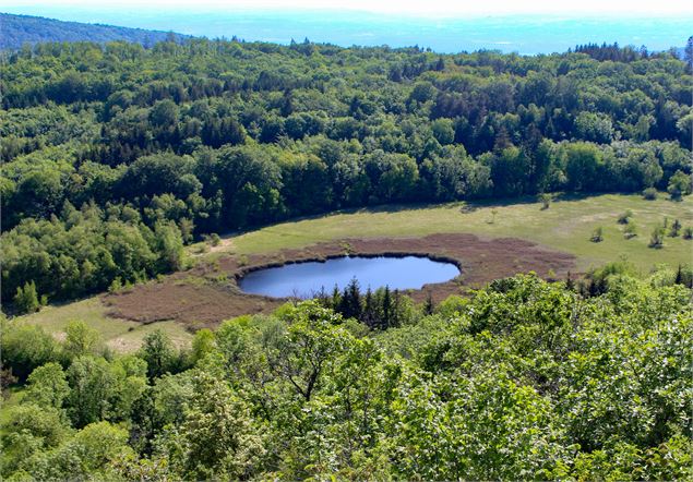 Tourbière de Cerin - Marilou Périno