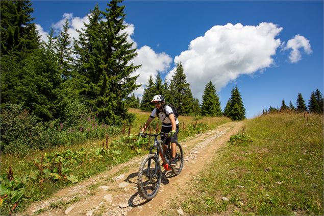 Itinéraire VTT Cross-Country - Thuria