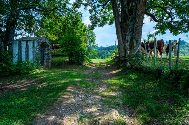 Châtillon sur Cluses - CCMG