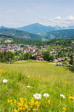 Vue sommet Timalets - OT les Carroz