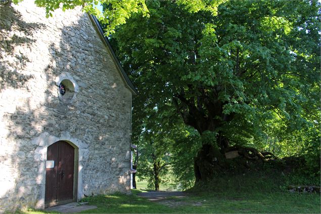 tilleul de Sully à Ordonnaz, vue depuis l'église - Marilou Perino / Pérouges Bugey Tourisme