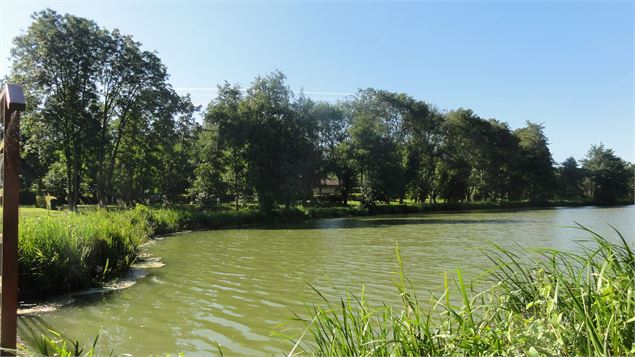 Le bocage de Cormoz - Etang de Mépillat (VTT) - Sébastien Calland