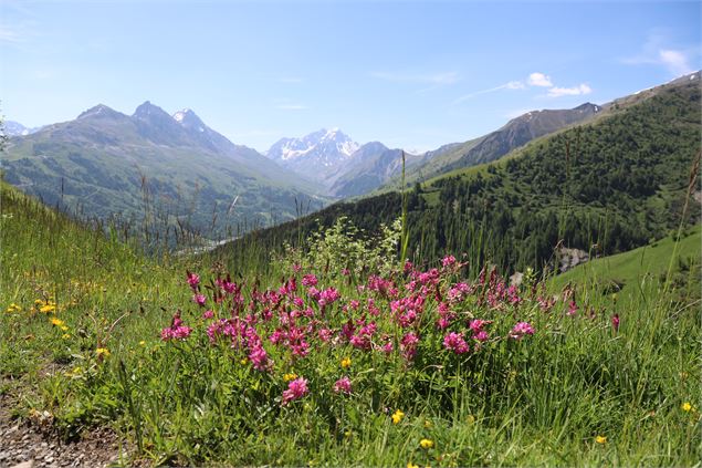 Le Clos de l'âne à Valloire - Pascal Delannoy - Lucimage