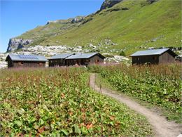 Sentier qui mène au refuge de Sales - Refuge de Sales