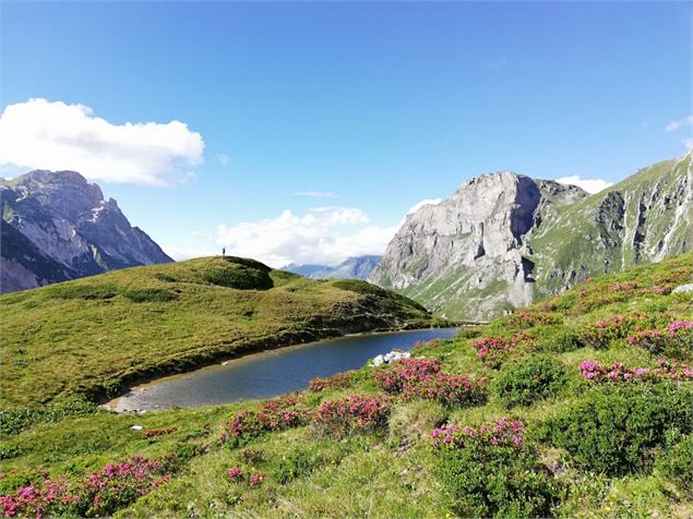 lac des Tétards - Marina Kokkelink